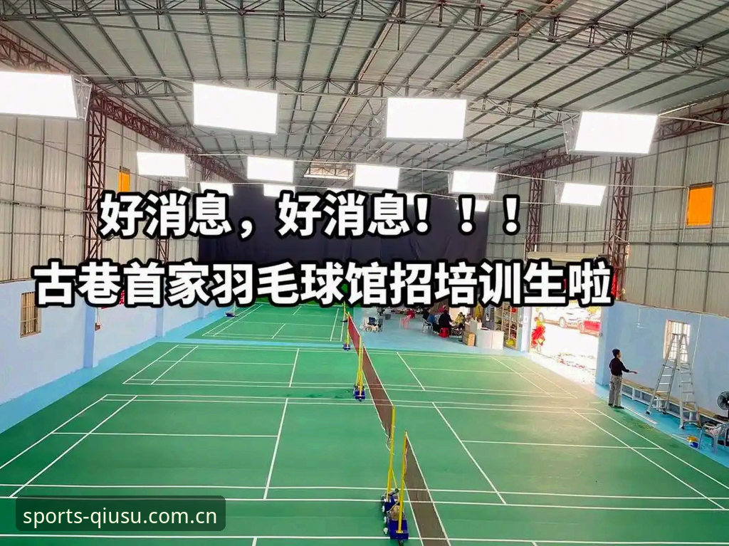 球速体育使用教程 球速体育平台实战评测:从下载到实时追踪的完整使用教程